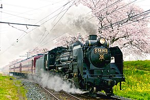 Chichibu-rautatien Paleo Express -höyryjuna
