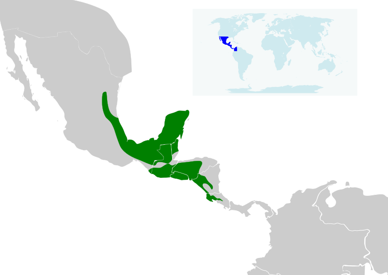 File:Chlorostilbon canivetii map.svg