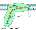 Pisipilt versioonist seisuga 11. november 2013, kell 05:02