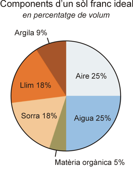 File:Composició ideal d'un sòl franc.png