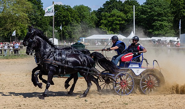 Competitive driving in Rennes, France