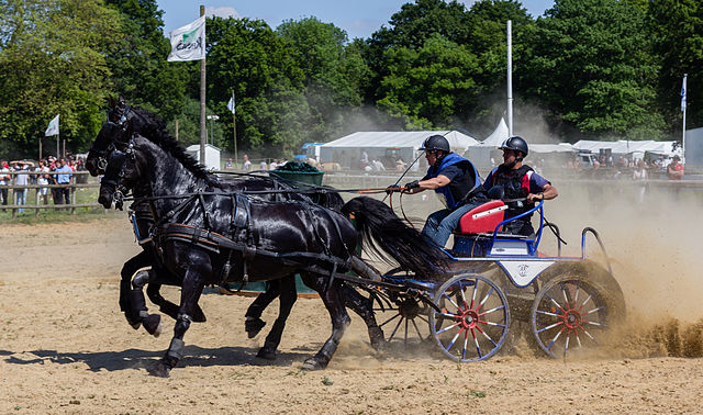 Competitive driving in Rennes, France