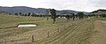 A cattle station in southern Alexandria.