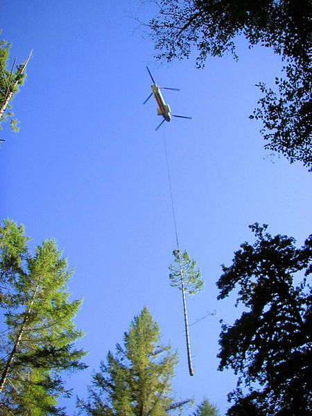 File:Coos Bay Restore Salmon Habitat (8095170225).jpg