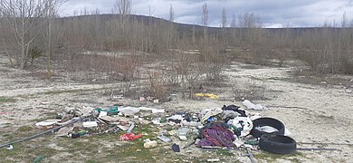 Les berges ouest de l'étang sont polluées par des ordures.