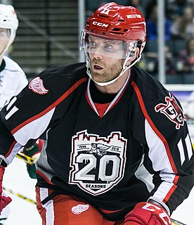 Daniel Cleary Canadian ice hockey player