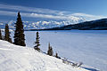 Denali and Wonder Lake with Musher Landscape (6919153466).jpg
