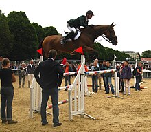 Showjumping - Denis Lynch Denis Lynch and Nabab's Son, Dublin (Irl) CSIO5* 2008.jpg