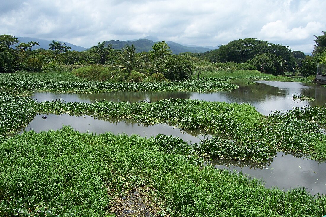 Atlántida Department