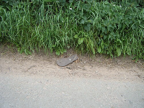 A discarded sandal in the dust beside a road