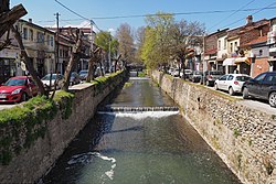 Dragor sungai (Bitola).jpg