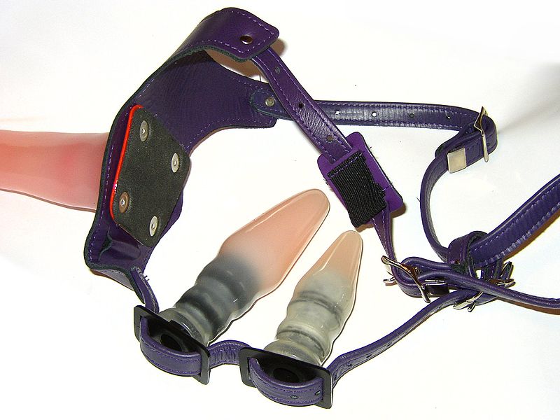 File:Dual internal plug harness 01.jpg