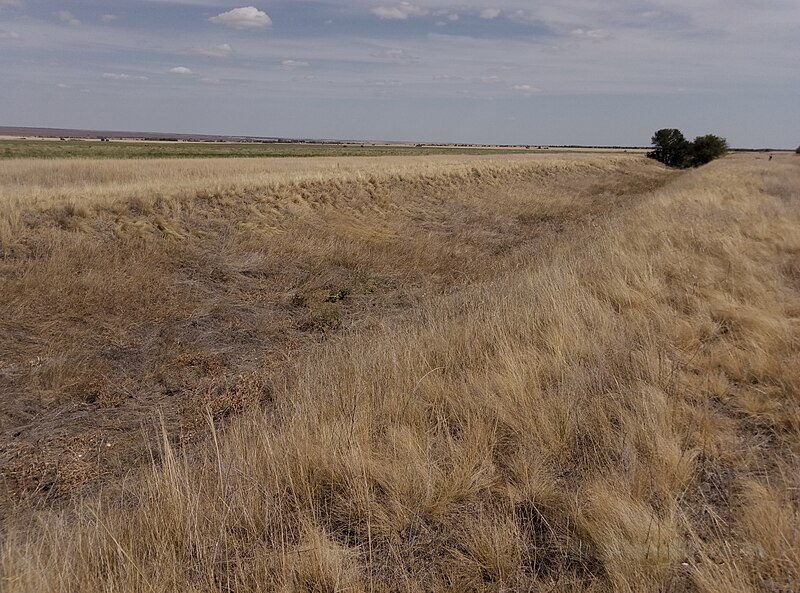 File:Dubovka-Kachalino railway (2017).jpg