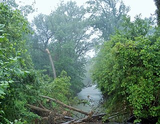 <span class="mw-page-title-main">East Arm Little Calumet River</span> River in Indiana, United States