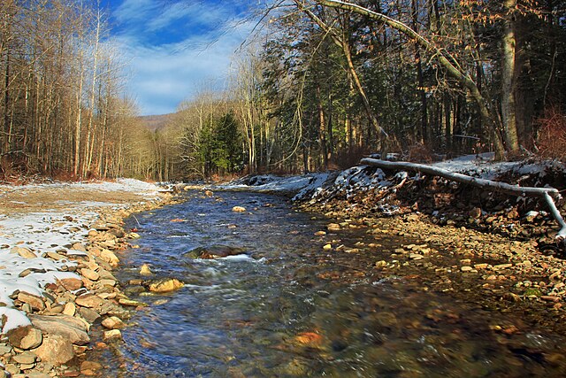 The East Branch of Fishing Creek at the Sullivan County – Columbia County line