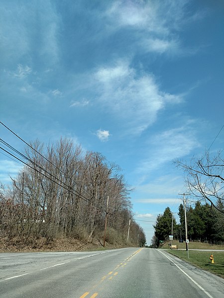 File:Ebensburg Early Spring - panoramio (17).jpg