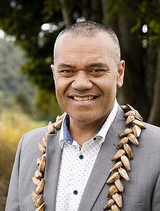 <span class="mw-page-title-main">Efeso Collins</span> New Zealand politician (1974–2024)