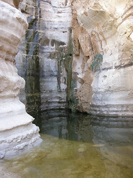 File:Ein akev pool3.JPG