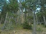 Català: Tossa Plana de Lles-Puigpedrós (Cerdanya, Alt Urgell) (Lles de Cerdanya, les Valls de Valira, Meranges i altres). This is a a photo of a natural area in Catalonia, Spain, with id: ES510205 Object location 42° 27′ 00″ N, 1° 42′ 00″ E  View all coordinates using: OpenStreetMap