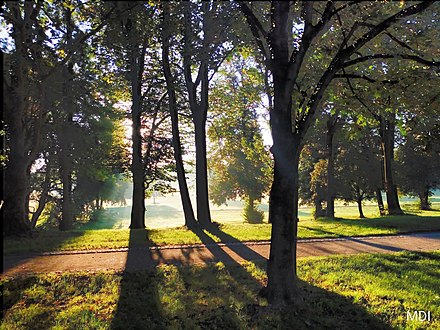 Englischer Garten Munchen Wikiwand