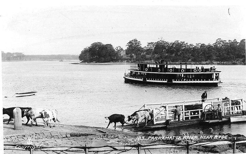 File:Ferry Aleathea at Mortlake early 1900s.jpg