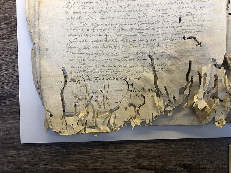 File:Firma Elcano en poder notarial dañado 1519 Sevilla.jpg