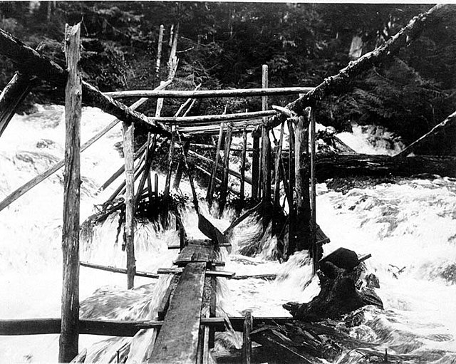 Fish trap on Tamgas Stream, Annette Island, July 1910