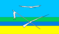 巴什坦卡區旗幟
