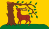Флаг Berkshire.svg