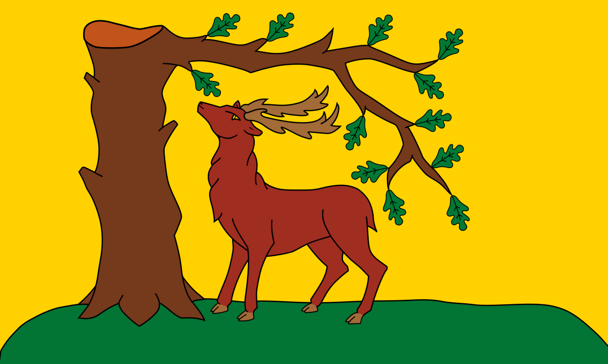 Banner 18x12 in AZ FLAG Buckinghamshire New County Flag 18'' x 12'' Cords - England Small Flags 30 x 45cm County of Bucks 