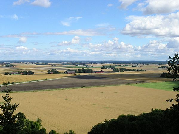 Summertime agricultural landscape around Flo, south of Vänern. These plains are part of the geographical Central Swedish lowland and the geological Su