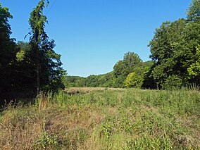 Hutan 44 Meadow.JPG