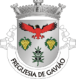 Vlag van Gavião