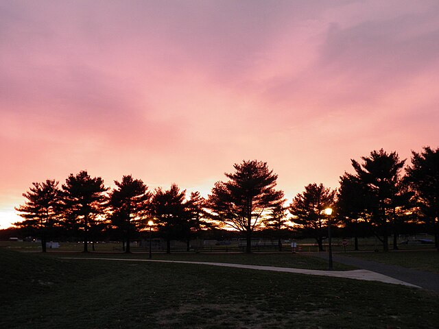 Gloucester County features coastal plains, where pine trees often grow, as seen at Rowan College of South Jersey.