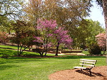 Glencairn Gardens in Rock Hill Glencairn Gardens Rock Hill SC.jpg