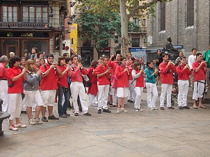 How to get to Castellers De Barcelona with public transit - About the place