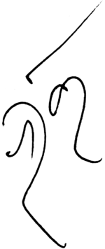 Signature