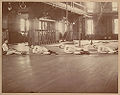 Harvard tug of war team 1888.jpg