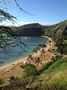 Hanauma Bay, Insel O'ahu, Hawaii, USA