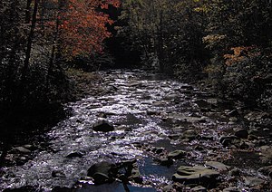 Hazel-creek-north-carolina.jpg