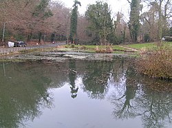 Holden Pond i Southborough