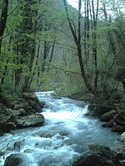 Il Fiume Argentino