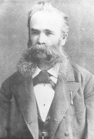 <span class="mw-page-title-main">Ioan Pușcariu</span> Austro-Hungarian ethnic Romanian historian, genealogist and administrator