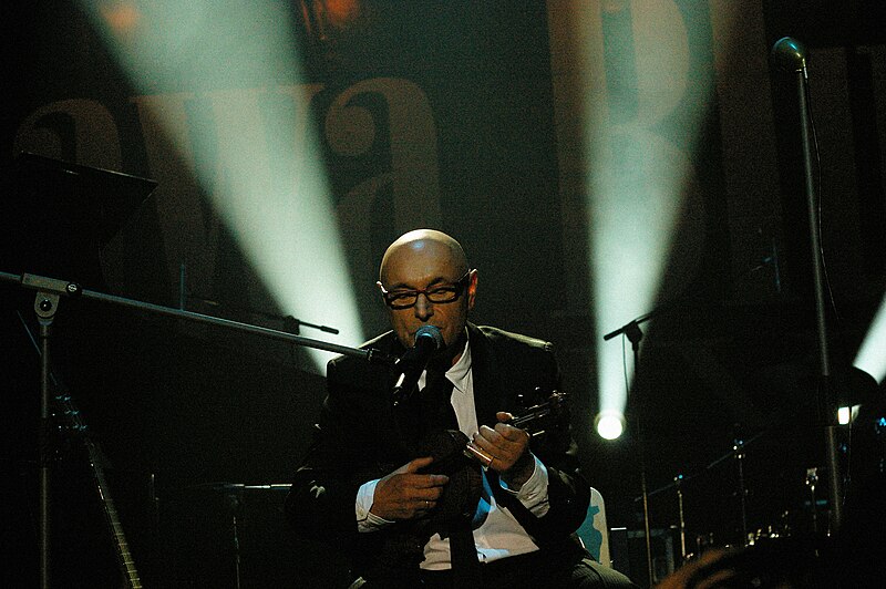 File:Irek Dudek Rawa Blues 2010 006.jpg