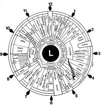 Iridology iris eye chart left mirror.jpg
