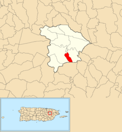 Location of Jaguar within the municipality of Gurabo shown in red