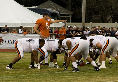 Cutler points out the mike linebacker during training camp, 2009
