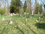 Jewish cemetery in Spomyšl (10).JPG