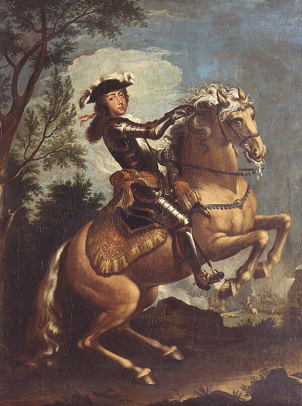 The young Prince of Orange received much praise from in and outside the Dutch Republic for his decisive role in his first major battle.