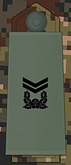 KA insignia Sergeant First Class.jpg
